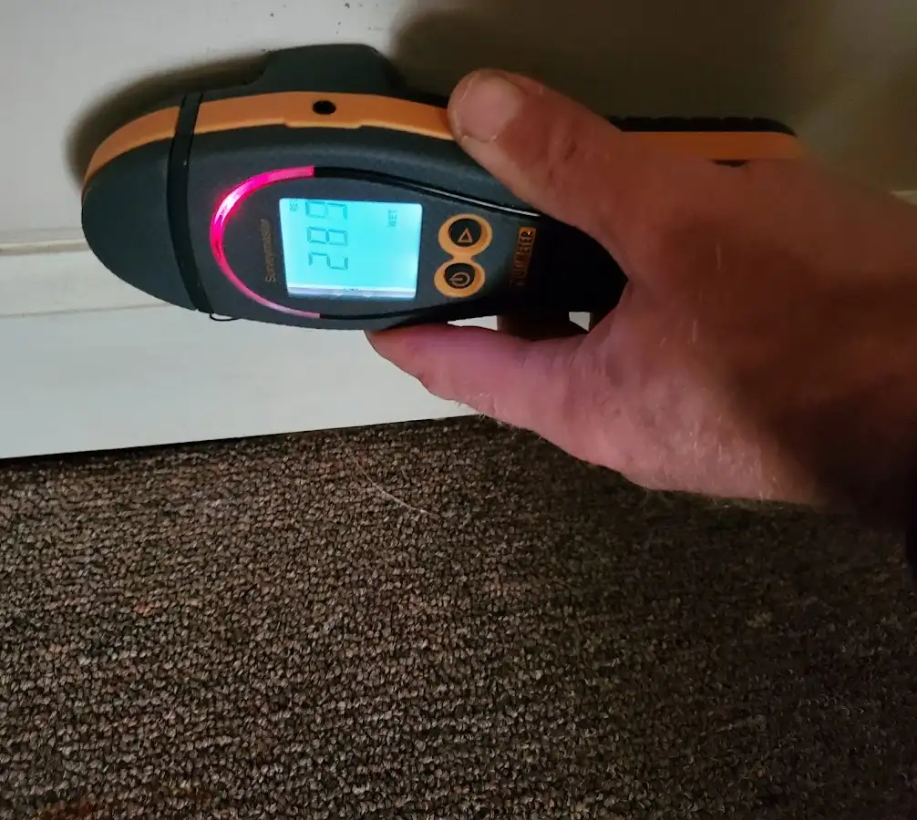 Moisture detection at baseboard during Sewage Cleanup & Sanitation in White Hall